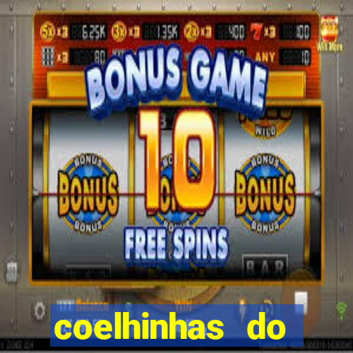 coelhinhas do brasil site